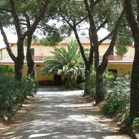 Podere Oslavia Az.Agr.Bio Giannini Alberese Ngoại thất bức ảnh