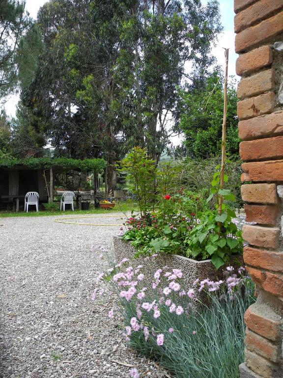 Podere Oslavia Az.Agr.Bio Giannini Alberese Ngoại thất bức ảnh