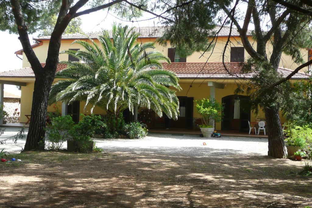 Podere Oslavia Az.Agr.Bio Giannini Alberese Ngoại thất bức ảnh